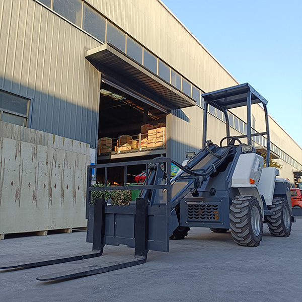 BES30-Small Articulated Loaders